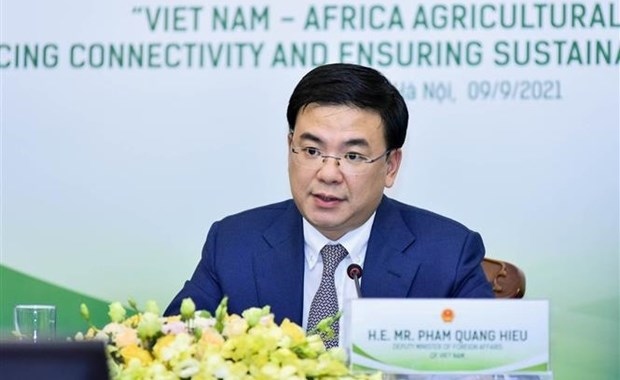 Vietnam aspires to boost cooperation with African nations